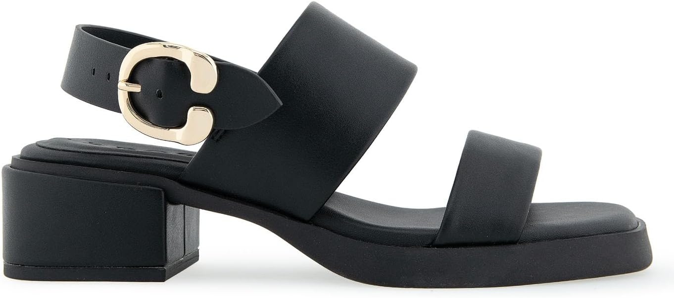 Aerosoles Women’s Dove(Black Pu)